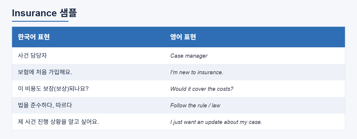보험 상황 CCL 단어장 샘플